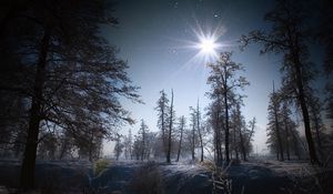 Preview wallpaper winter, sun, light, morning, snow, grain, timber