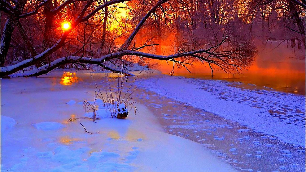 Wallpaper winter, sunset, evening, branches, tree, pond, cold, snow