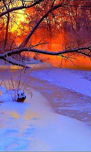 Preview wallpaper winter, sunset, evening, branches, tree, pond, cold, snow