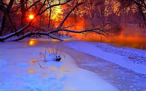 Preview wallpaper winter, sunset, evening, branches, tree, pond, cold, snow