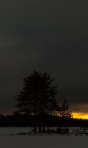Preview wallpaper winter, sunset, horizon, snow, night, trees