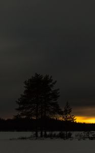 Preview wallpaper winter, sunset, horizon, snow, night, trees