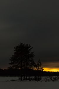 Preview wallpaper winter, sunset, horizon, snow, night, trees