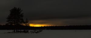 Preview wallpaper winter, sunset, horizon, snow, night, trees