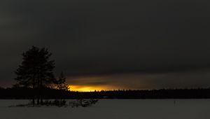 Preview wallpaper winter, sunset, horizon, snow, night, trees