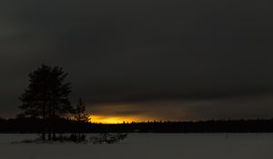 Preview wallpaper winter, sunset, horizon, snow, night, trees