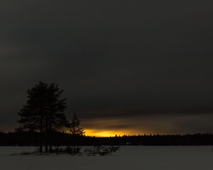 Preview wallpaper winter, sunset, horizon, snow, night, trees