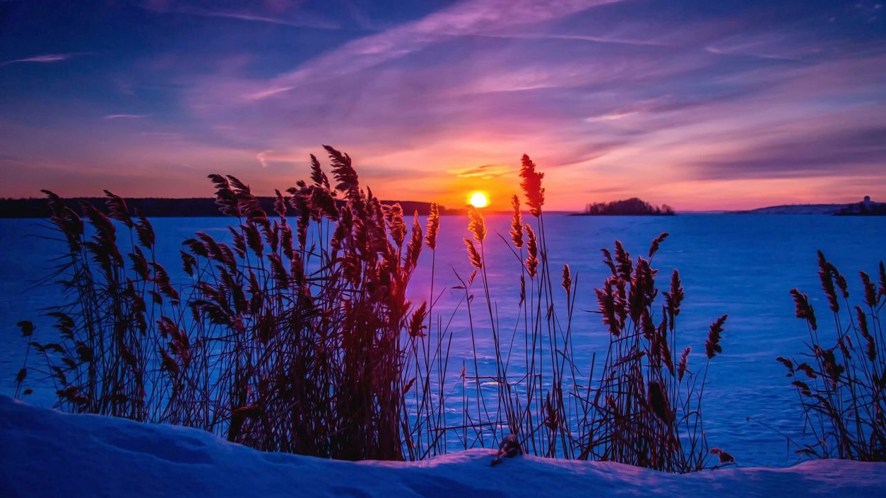 Wallpaper winter, sunset, snow, grass
