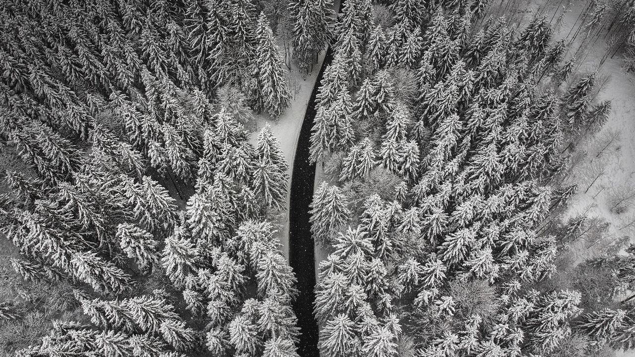 Wallpaper winter, trees, aerial view, snow, road