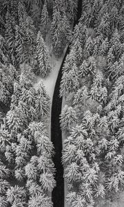 Preview wallpaper winter, trees, aerial view, snow, road