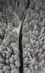 Preview wallpaper winter, trees, aerial view, snow, road