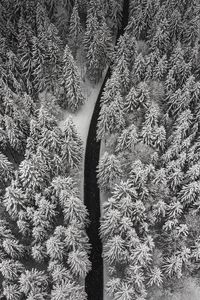 Preview wallpaper winter, trees, aerial view, snow, road