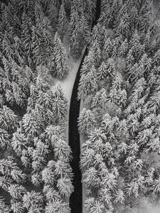 Preview wallpaper winter, trees, aerial view, snow, road