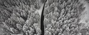 Preview wallpaper winter, trees, aerial view, snow, road