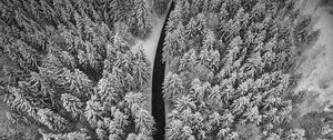 Preview wallpaper winter, trees, aerial view, snow, road