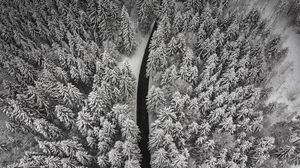 Preview wallpaper winter, trees, aerial view, snow, road