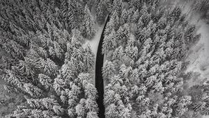 Preview wallpaper winter, trees, aerial view, snow, road