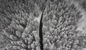 Preview wallpaper winter, trees, aerial view, snow, road