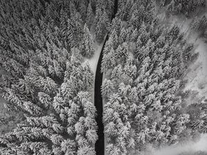 Preview wallpaper winter, trees, aerial view, snow, road