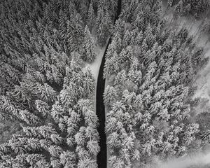 Preview wallpaper winter, trees, aerial view, snow, road