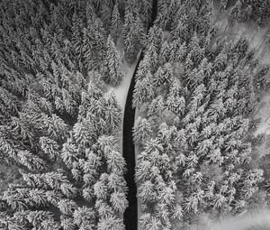 Preview wallpaper winter, trees, aerial view, snow, road