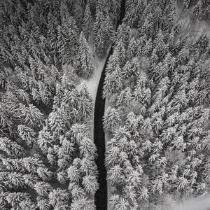 Preview wallpaper winter, trees, aerial view, snow, road