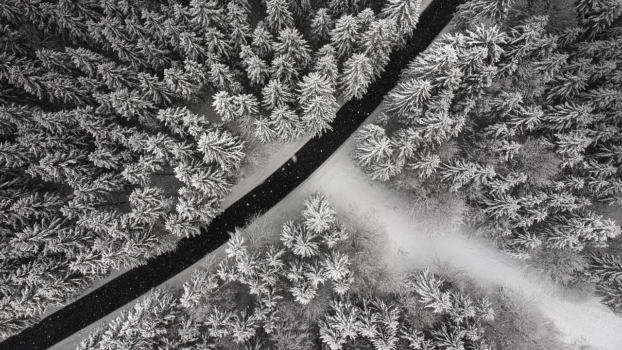 Wallpaper winter, trees, aerial view, snow, road, forest