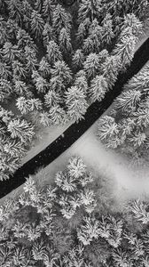 Preview wallpaper winter, trees, aerial view, snow, road, forest