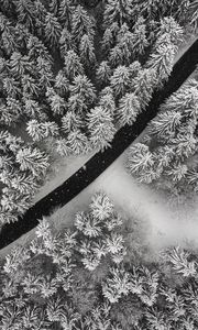 Preview wallpaper winter, trees, aerial view, snow, road, forest