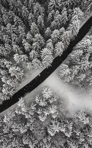 Preview wallpaper winter, trees, aerial view, snow, road, forest