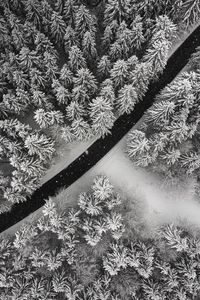 Preview wallpaper winter, trees, aerial view, snow, road, forest