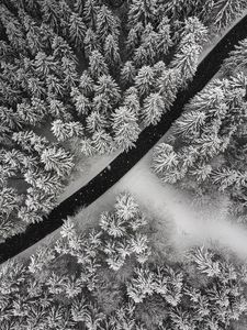 Preview wallpaper winter, trees, aerial view, snow, road, forest