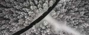 Preview wallpaper winter, trees, aerial view, snow, road, forest