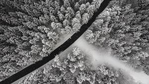 Preview wallpaper winter, trees, aerial view, snow, road, forest