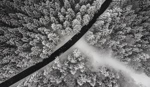 Preview wallpaper winter, trees, aerial view, snow, road, forest