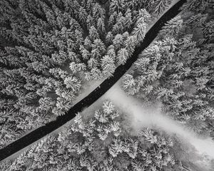 Preview wallpaper winter, trees, aerial view, snow, road, forest