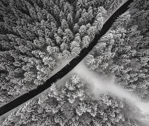 Preview wallpaper winter, trees, aerial view, snow, road, forest