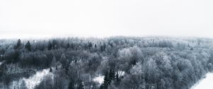 Preview wallpaper winter, trees, aerial view, minimalism, white