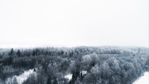 Preview wallpaper winter, trees, aerial view, minimalism, white