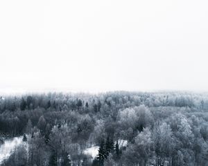 Preview wallpaper winter, trees, aerial view, minimalism, white