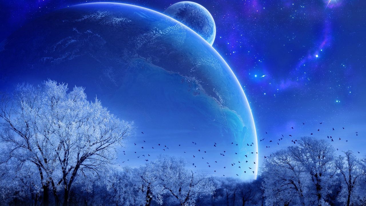 Wallpaper winter, trees, birds, planets, stars