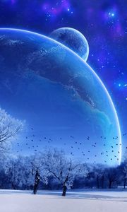 Preview wallpaper winter, trees, birds, planets, stars