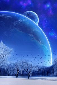 Preview wallpaper winter, trees, birds, planets, stars