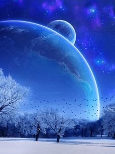 Preview wallpaper winter, trees, birds, planets, stars