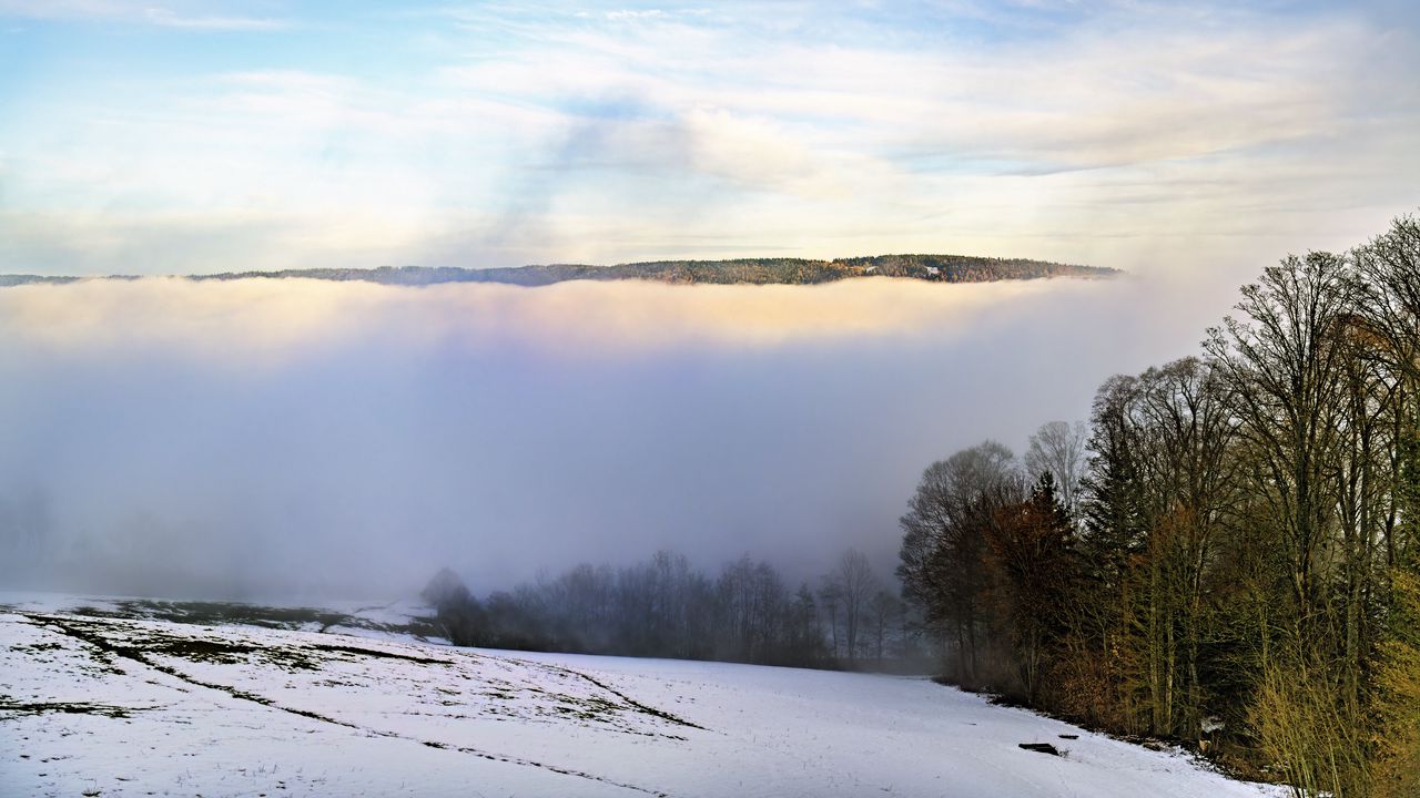 Wallpaper winter, trees, fog, sky, clouds, nature