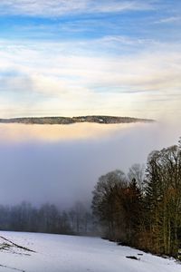 Preview wallpaper winter, trees, fog, sky, clouds, nature