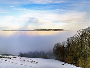 Preview wallpaper winter, trees, fog, sky, clouds, nature