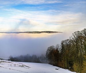 Preview wallpaper winter, trees, fog, sky, clouds, nature