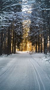 Preview wallpaper winter, trees, forest, road