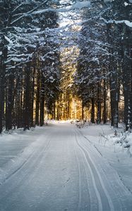Preview wallpaper winter, trees, forest, road